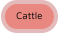 Cattle
