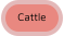 Cattle